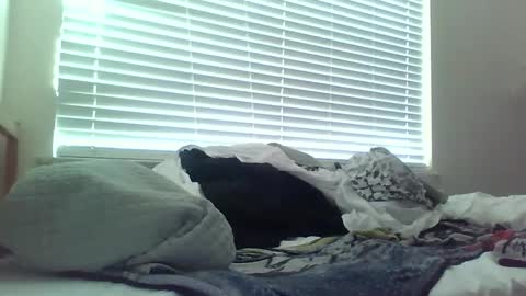 Snapshot of delightfuldark chatting on February 15, 11:47 pm delightfuldark online show from February 15, 11:47 pm