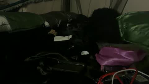 Snapshot of delightfuldark chatting on October 3, 11:07 am delightfuldark online show from October 3, 11:07 am