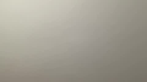 Delivery      online show from December 19, 12:34 am