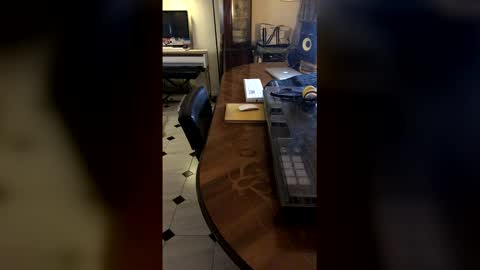 Demonomad online show from March 19, 8:57 pm