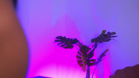 denisedevilles online show from April 27, 8:07 pm