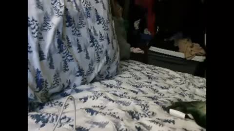 Snapshot of deroseblack chatting on January 13, 4:50 am deroseblack online show from January 13, 4:50 am