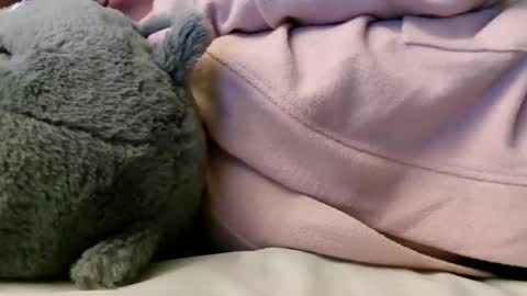 Snapshot of deroseblack chatting on February 10, 6:20 am deroseblack online show from February 10, 6:20 am