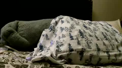 Snapshot of deroseblack chatting on February 24, 5:22 am deroseblack online show from February 24, 5:22 am