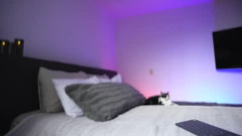 Snapshot of diagostone chatting on November 26, 8:54 pm Diego online show from November 26, 8:54 pm