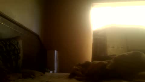 Snapshot of dickdaxxx chatting on March 2, 8:16 am dickdaxxx online show from March 2, 8:16 am