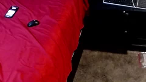 Sparkx online show from September 28, 5:13 am