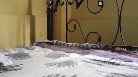 Dick balls online show from August 9, 2:46 am