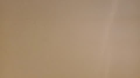 Snapshot of diegomoreno19 chatting on February 16, 11:38 am Diego online show from February 16, 11:38 am