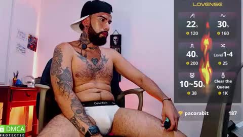  Dylan  online show from February 3, 2:53 am