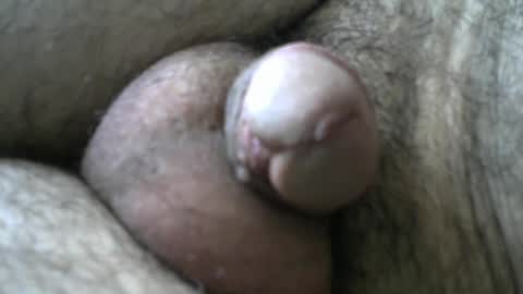 Snapshot of dilaradagci chatting on January 11, 8:33 am Bob online show from January 11, 8:33 am