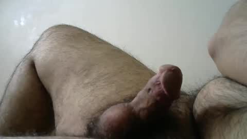 Snapshot of dilaradagci chatting on February 27, 11:41 am Bob online show from February 27, 11:41 am