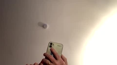 Dildolover online show from January 15, 9:58 am