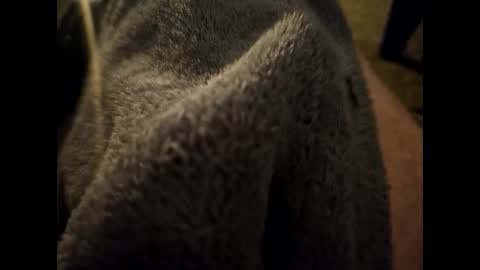 Snapshot of dilf232323 chatting on January 16, 6:35 am Dilf online show from January 16, 6:35 am