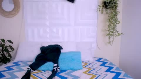 DINA online show from April 23, 4:53 pm