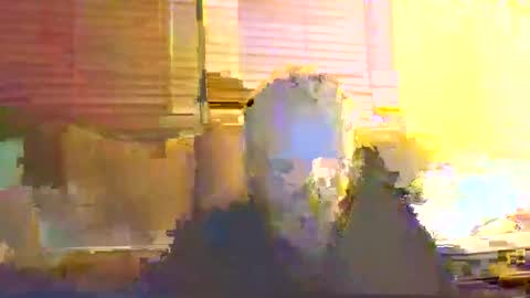 Snapshot of dingleberryjonesmagee chatting on October 25, 10:26 pm dingleberryjonesmagee online show from October 25, 10:26 pm