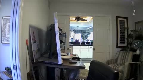 DirtkPitt Fun guy working online show from January 3, 4:37 pm