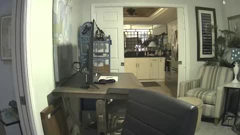 DirtkPitt Fun guy working online show from February 9, 6:01 am