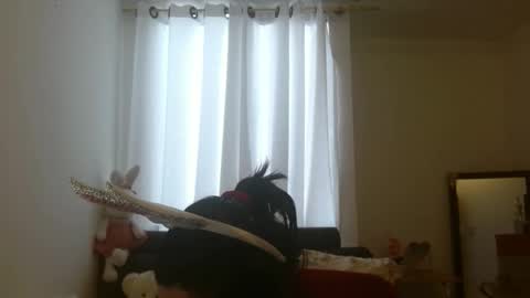 Snapshot of disneey2888 chatting on November 12, 8:19 pm disneey2888 online show from November 12, 8:19 pm