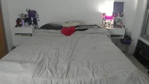 Snapshot of dissasterology chatting on November 7, 3:06 am Lena online show from November 7, 3:06 am