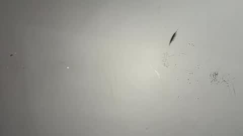 Snapshot of dixkzilla chatting on February 20, 2:52 am dixkzilla online show from February 20, 2:52 am