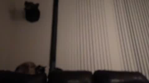 Snapshot of dj_chaterbate chatting on February 4, 8:31 am DJ Chaterbate online show from February 4, 8:31 am