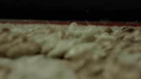 Snapshot of djwats chatting on February 24, 1:57 am Mmmmgood online show from February 24, 1:57 am