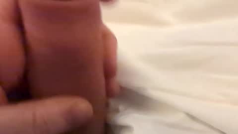 Bigslick online show from February 2, 11:03 pm