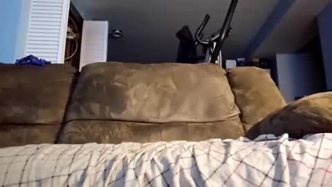 Snapshot of dogbone999081 chatting on December 3, 8:45 am dogbone999081 online show from December 3, 8:45 am