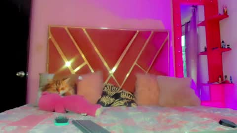 dollcute_latin online show from May 1, 10:03 pm