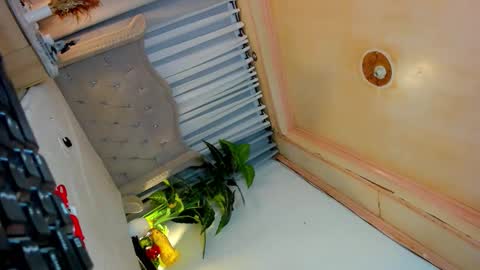 Snapshot of dominantgoddessontop chatting on October 3, 10:40 pm CALL ME BABY BELLA online show from October 3, 10:40 pm