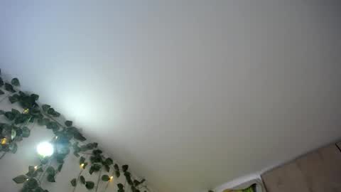 dominic_sofia online show from June 18, 12:09 pm
