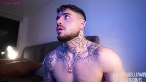 Snapshot of dominic_sullivan1 chatting on November 23, 1:49 am Dominic Sullivan online show from November 23, 1:49 am