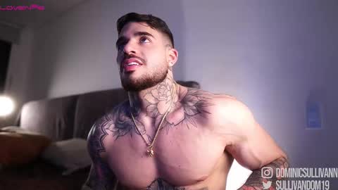 Snapshot of dominic_sullivan1 chatting on November 24, 2:44 am Dominic Sullivan online show from November 24, 2:44 am