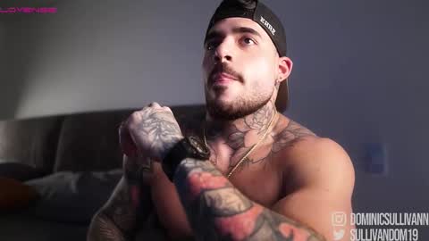 Snapshot of dominic_sullivan1 chatting on December 14, 2:39 am Dominic Sullivan online show from December 14, 2:39 am