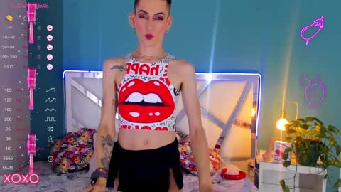 Dominic online show from February 3, 5:03 pm