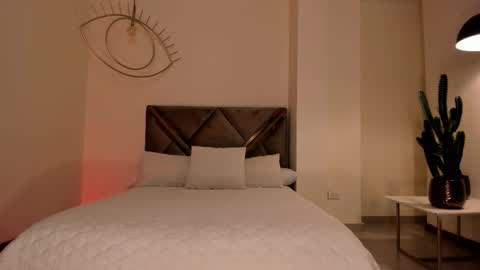 Dominique online show from November 29, 11:41 pm