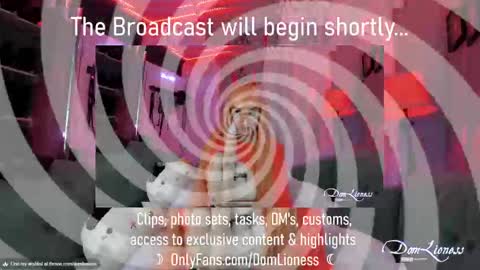 DomLioness online show from October 31, 11:17 pm