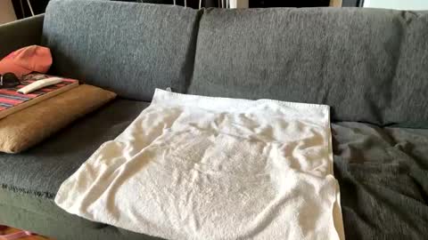 Alfredo online show from September 16, 10:27 am