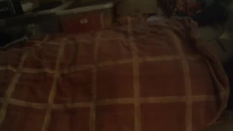 Snapshot of dorsetbiker714 chatting on December 29, 10:01 am Hello welcome to Slutsville I am the Naked Chef really but you may call me Peter online show from December 29, 10:01 am