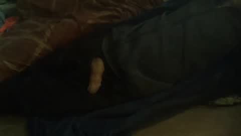 Snapshot of dorsetbiker714 chatting on February 11, 10:04 am Hello welcome to Slutsville I am the Naked Chef really but you may call me Peter online show from February 11, 10:04 am