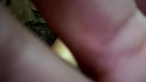 Snapshot of dove_love22 chatting on November 21, 2:43 am dove_love22 online show from November 21, 2:43 am