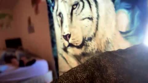 Snapshot of dove_love22 chatting on November 21, 8:40 pm dove_love22 online show from November 21, 8:40 pm