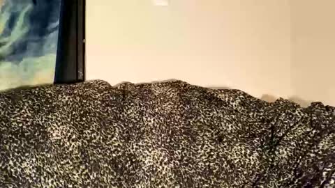 Snapshot of dove_love22 chatting on November 30, 2:15 am dove_love22 online show from November 30, 2:15 am