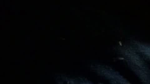 Dreadedted online show from November 24, 8:14 am