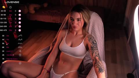 Snapshot of dreamaise chatting on December 13, 10:51 am  Mary   pvt open    use pink and blue app lovense online show from December 13, 10:51 am