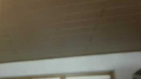 Snapshot of dreambob chatting on December 21, 11:17 am Dreambob online show from December 21, 11:17 am