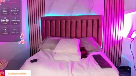 Snapshot of dreammatell_ chatting on January 28, 3:15 am Dream Matell online show from January 28, 3:15 am