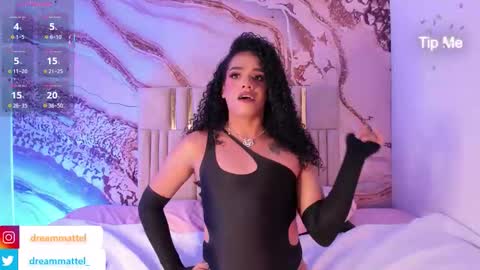 Snapshot of dreammatell_ chatting on October 17, 3:53 am Dream Matell online show from October 17, 3:53 am