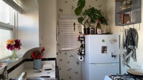 Snapshot of dreamyriri chatting on December 18, 7:30 pm RIRI OR DREAMY online show from December 18, 7:30 pm